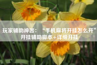 玩家辅助神器：“手机麻将开挂怎么开”开挂辅助脚本+详细开挂