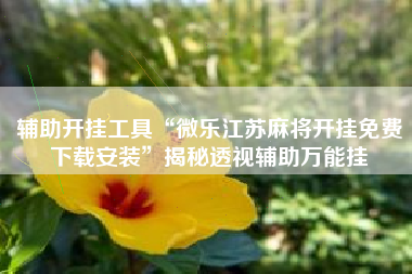 辅助开挂工具“微乐江苏麻将开挂免费下载安装”揭秘透视辅助万能挂 辅助开挂工具“微乐江苏麻将开挂免费下载安装”揭秘透视辅助万能挂