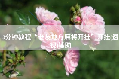 3分钟教程“老友地方麻将开挂”开挂(透视)辅助
