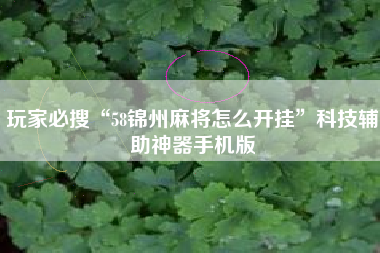 玩家必搜“58锦州麻将怎么开挂”科技辅助神器手机版 玩家必搜“58锦州麻将怎么开挂”科技辅助神器手机版