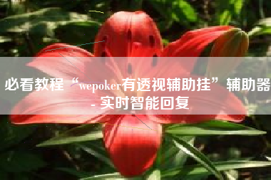 必看教程“wepoker有透视辅助挂”辅助器 - 实时智能回复