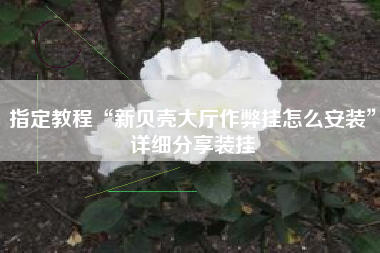 指定教程“新贝壳大厅作弊挂怎么安装”详细分享装挂 指定教程“新贝壳大厅作弊挂怎么安装”详细分享装挂