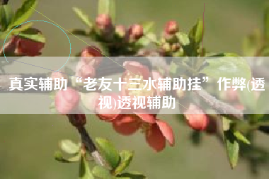 真实辅助“老友十三水辅助挂”作弊(透视)透视辅助 真实辅助“老友十三水辅助挂”作弊(透视)透视辅助