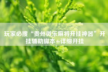 玩家必搜“贵州微乐麻将开挂神器”开挂辅助脚本+详细开挂 玩家必搜“贵州微乐麻将开挂神器”开挂辅助脚本+详细开挂