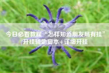 今日必看教程“怎样知道朋友局有挂”开挂辅助脚本+详细开挂