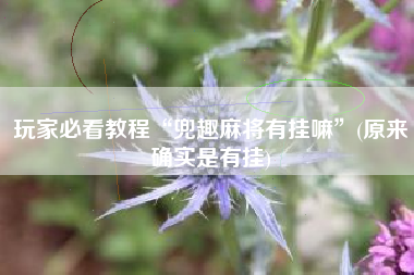 玩家必看教程“兜趣麻将有挂嘛”(原来确实是有挂) 玩家必看教程“兜趣麻将有挂嘛”(原来确实是有挂)
