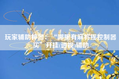 玩家辅助神器：“哪里有麻将摇控制器买”开挂(透视)辅助