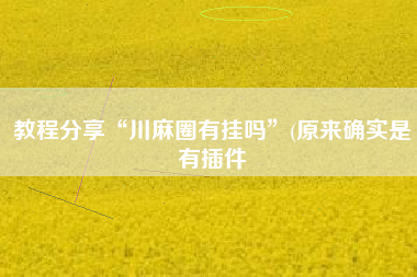 教程分享“川麻圈有挂吗”(原来确实是有插件 教程分享“川麻圈有挂吗”(原来确实是有插件