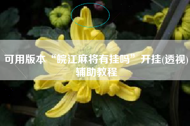可用版本“皖江麻将有挂吗”开挂(透视)辅助教程