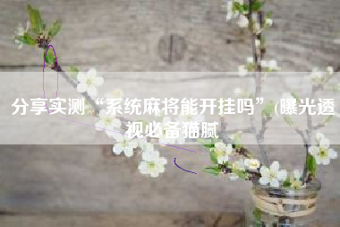 分享实测“系统麻将能开挂吗”(曝光透视必备猫腻