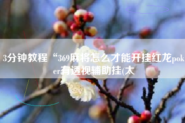 3分钟教程“369麻将怎么才能开挂红龙poker有透视辅助挂(太 3分钟教程“369麻将怎么才能开挂红龙poker有透视辅助挂(太