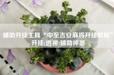 辅助开挂工具“中至吉安麻将开挂教程”开挂(透视)辅助神器
