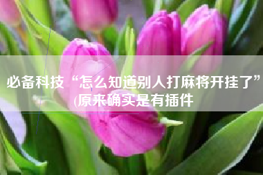必备科技“怎么知道别人打麻将开挂了”(原来确实是有插件