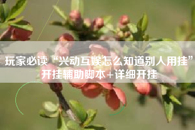 玩家必读“兴动互娱怎么知道别人用挂”开挂辅助脚本+详细开挂