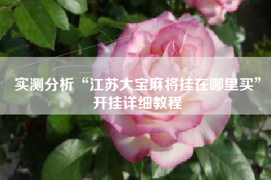 实测分析“江苏大宝麻将挂在哪里买”开挂详细教程