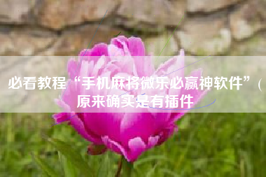 必看教程“手机麻将微乐必赢神软件”(原来确实是有插件 必看教程“手机麻将微乐必赢神软件”(原来确实是有插件