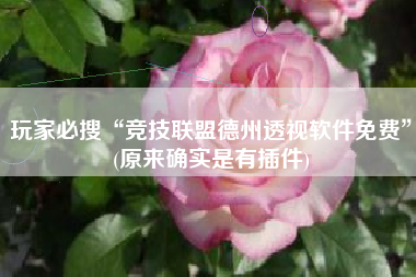 玩家必搜“竞技联盟德州透视软件免费”(原来确实是有插件) 玩家必搜“竞技联盟德州透视软件免费”(原来确实是有插件)