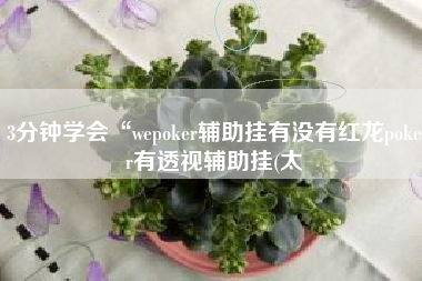 3分钟学会“wepoker辅助挂有没有红龙poker有透视辅助挂(太 3分钟学会“wepoker辅助挂有没有红龙poker有透视辅助挂(太