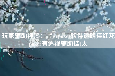 玩家辅助神器：“wepoker软件透明挂红龙poker有透视辅助挂(太