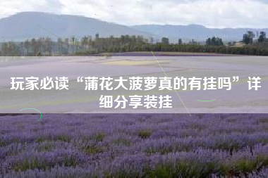 玩家必读“蒲花大菠萝真的有挂吗”详细分享装挂