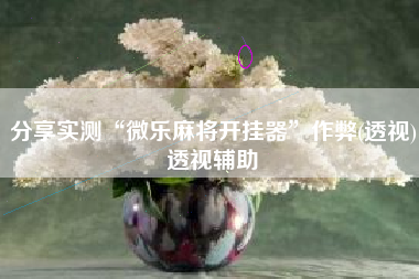 分享实测“微乐麻将开挂器”作弊(透视)透视辅助 分享实测“微乐麻将开挂器”作弊(透视)透视辅助