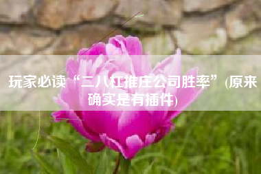 玩家必读“二八杠推庄公司胜率”(原来确实是有插件) 玩家必读“二八杠推庄公司胜率”(原来确实是有插件)