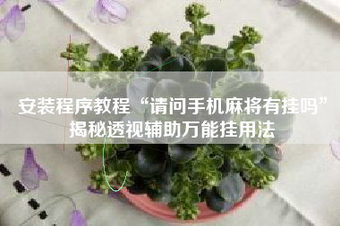 安装程序教程“请问手机麻将有挂吗”揭秘透视辅助万能挂用法