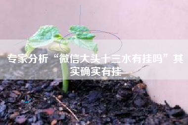专家分析“微信大头十三水有挂吗”其实确实有挂 专家分析“微信大头十三水有挂吗”其实确实有挂