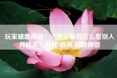 玩家辅助神器：“微乐麻将怎么看别人开挂不”开挂(透视)辅助神器