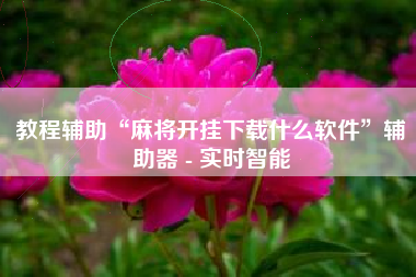 教程辅助“麻将开挂下载什么软件”辅助器 - 实时智能 教程辅助“麻将开挂下载什么软件”辅助器 - 实时智能