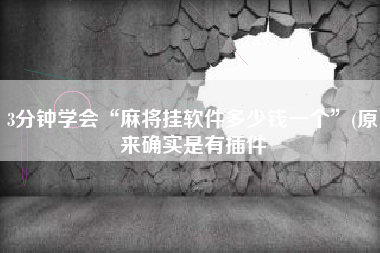 3分钟学会“麻将挂软件多少钱一个”(原来确实是有插件