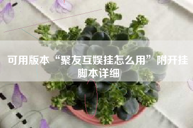 可用版本“聚友互娱挂怎么用”附开挂脚本详细 可用版本“聚友互娱挂怎么用”附开挂脚本详细