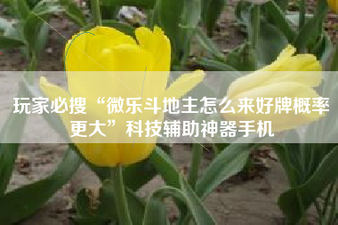 玩家必搜“微乐斗地主怎么来好牌概率更大”科技辅助神器手机