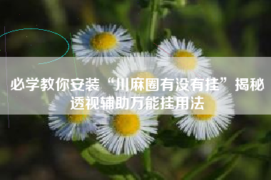 必学教你安装“川麻圈有没有挂”揭秘透视辅助万能挂用法 必学教你安装“川麻圈有没有挂”揭秘透视辅助万能挂用法