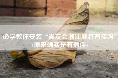 必学教你安装“雀友会潮汕麻将有挂吗”(原来确实是有插件)