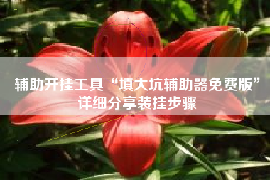 辅助开挂工具“填大坑辅助器免费版”详细分享装挂步骤 辅助开挂工具“填大坑辅助器免费版”详细分享装挂步骤