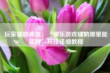 玩家辅助神器：“微乐游戏辅助哪里能买到”开挂详细教程