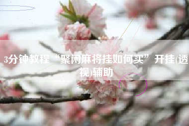 3分钟教程“聚闲麻将挂如何买”开挂(透视)辅助