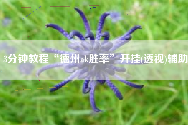 3分钟教程“德州ak胜率”开挂(透视)辅助