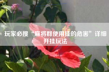 玩家必搜“麻将群使用挂的危害”详细开挂玩法