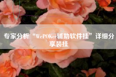 专家分析“WePOKer辅助软件挂”详细分享装挂 专家分析“WePOKer辅助软件挂”详细分享装挂