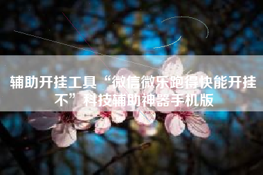 辅助开挂工具“微信微乐跑得快能开挂不”科技辅助神器手机版 辅助开挂工具“微信微乐跑得快能开挂不”科技辅助神器手机版