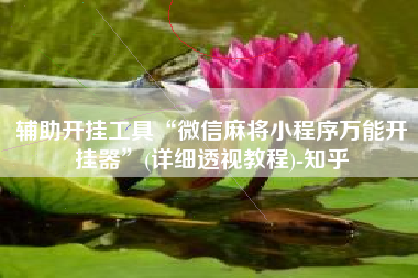 辅助开挂工具“微信麻将小程序万能开挂器”(详细透视教程)-知乎 辅助开挂工具“微信麻将小程序万能开挂器”(详细透视教程)-知乎