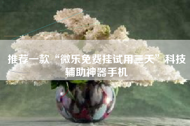推荐一款“微乐免费挂试用三天”科技辅助神器手机