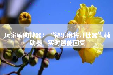 玩家辅助神器:“微乐麻将开挂器”辅助器 - 实时智能回复 玩家辅助神器:“微乐麻将开挂器”辅助器 - 实时智能回复