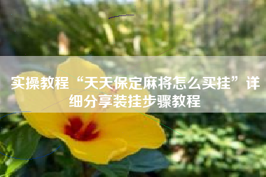 实操教程“天天保定麻将怎么买挂”详细分享装挂步骤教程 实操教程“天天保定麻将怎么买挂”详细分享装挂步骤教程