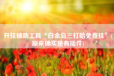 开挂辅助工具“白金岛三打哈免费挂”(原来确实是有插件) 开挂辅助工具“白金岛三打哈免费挂”(原来确实是有插件)