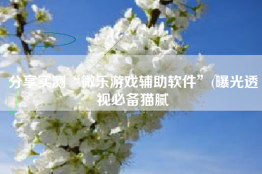 分享实测“微乐游戏辅助软件”(曝光透视必备猫腻 分享实测“微乐游戏辅助软件”(曝光透视必备猫腻