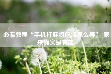 必看教程“手机打麻将的挂怎么弄”(原来确实是有挂)