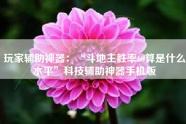 玩家辅助神器:“斗地主胜率60算是什么水平”科技辅助神器手机版 玩家辅助神器:“斗地主胜率60算是什么水平”科技辅助神器手机版